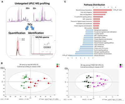 Serum Metabolomics Associating With Circulating MicroRNA Profiles Reveal the Role of miR-383-5p in Rat Hippocampus Under Simulated Microgravity